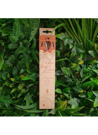 Incienso y Goma Damar: Incienso estuchado Hindú