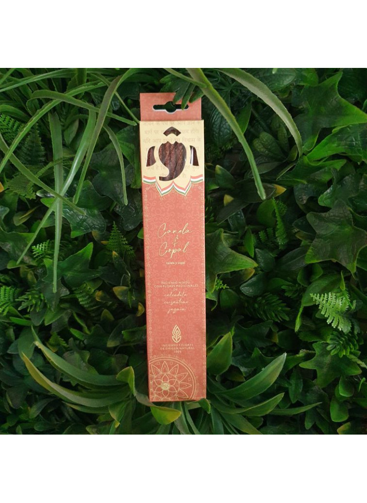 Canela y Copal: Incienso estuchado Hindú