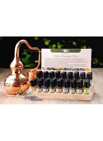 Árbol de Té Aceite Esencial Puro